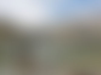 México: el miembro fantasma