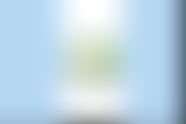 [Junio, 23] Guatemala