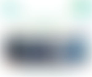 Sainte Luce 2026, Sainte Luce sur Loire, ensemble pour Sainte Luce, Philippe Bourgeolet