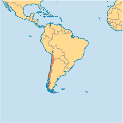 ree