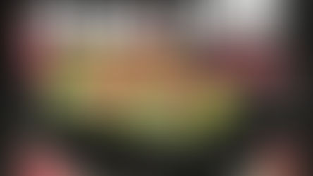 PUNK IN THE PARK Announces Road Show with 3 US Stops!!!