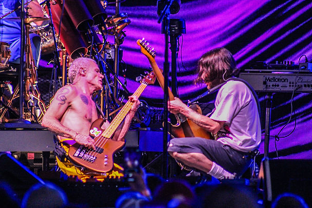 nfg