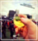 Punk in Drublic Sampling Cup