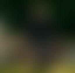 THE MAINE Drop New Single "Palms". ON TOUR NOW!