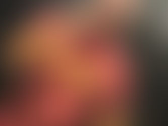 DESCENDENTS (A Parent’s Perspective) SHOW REVIEW!