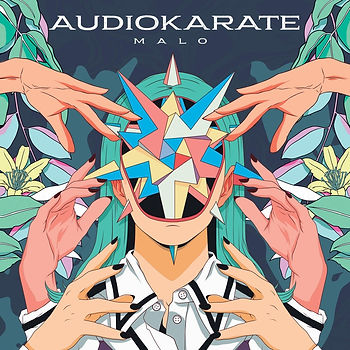 audio karate