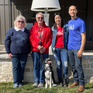 Annie The Australian Shepherd/Border Collie Mix