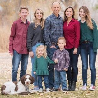 Tilly The Springer Spaniel Doodle