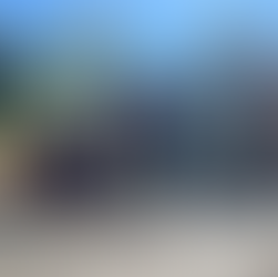 Peaches The Golden Retriever