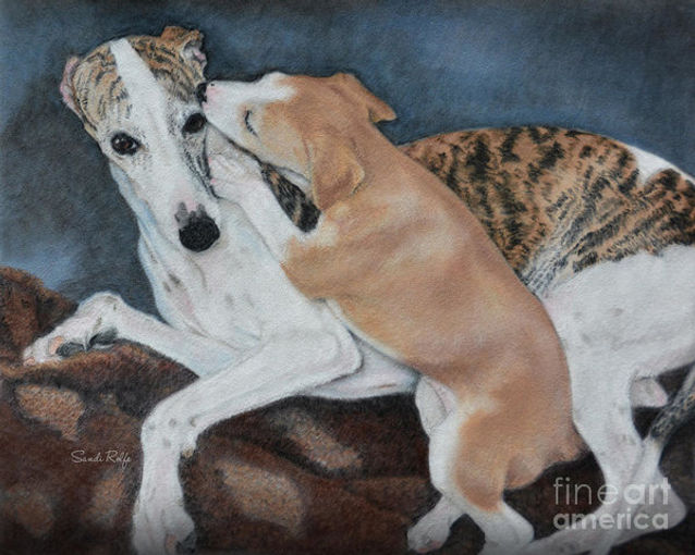Whippets 2.jpeg