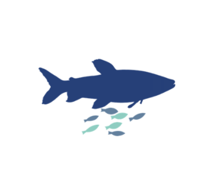 Fish Welfare Initiative