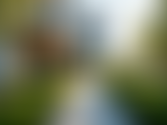 Discover the Benefits of Elite Property Management