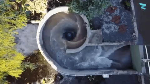 whirlpool-turbine.gif