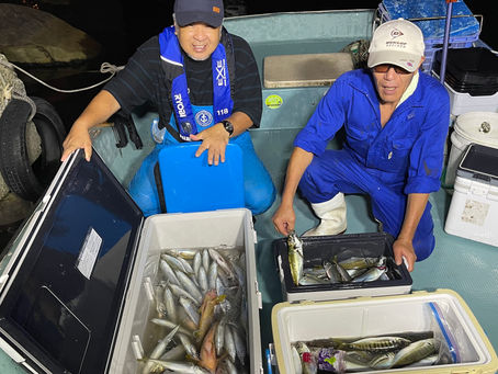 7/25 ナイトアジング