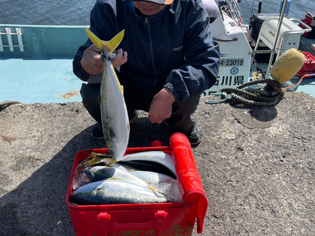 連休の釣果写真