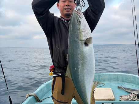 5/16 ブリからの鯛‼️