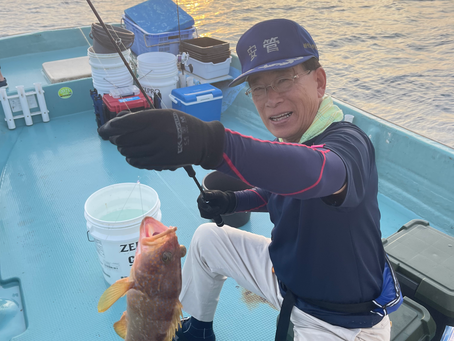 8/6 五目釣り❗️