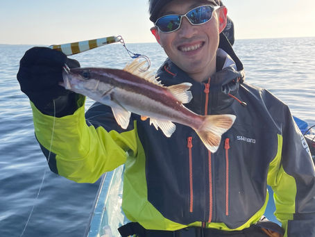 アラのポイント開拓