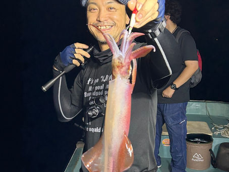 8/11 今年もアカイカ🦑が