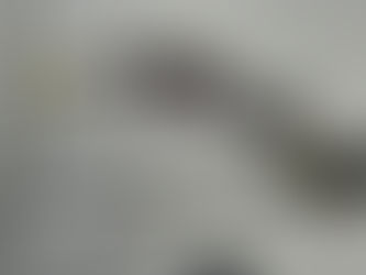 8/31 注文の品 調達❗️