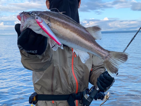 アラ修行からの鯛ジギング 前編