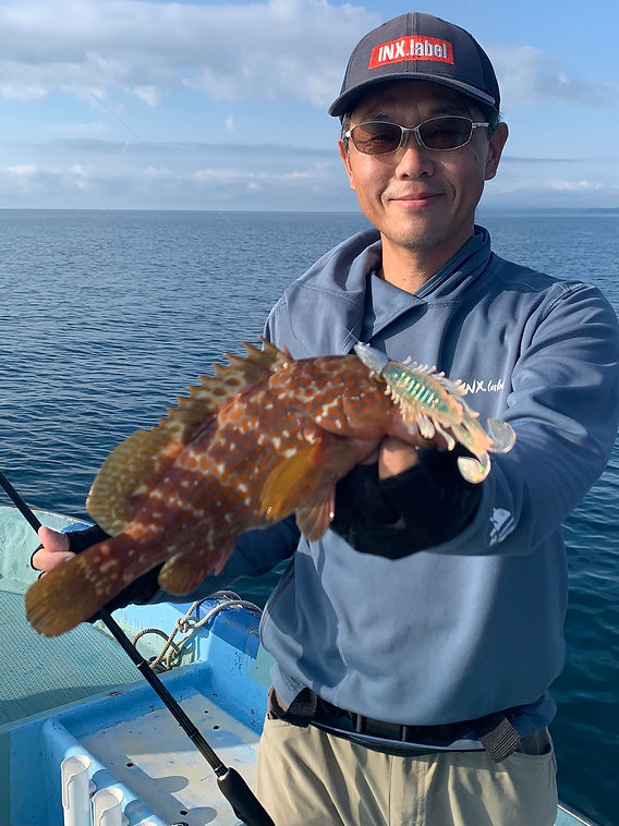 海の流石です。 海の流石です。