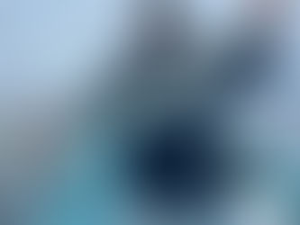 2/27   天然能登まだ寒ブリ❓