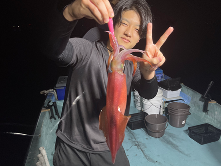 8/29 アカイカ🦑ポツポツ