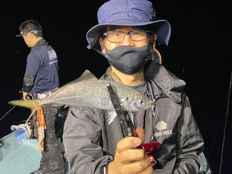 7/8 ナイトアジング