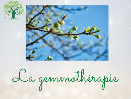 La gemmothérapie