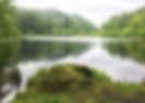 Lake, trees and rock