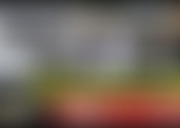 《全民新聞台》［港聞］海關破獲五隻非法走私動物 市值約二十二萬元