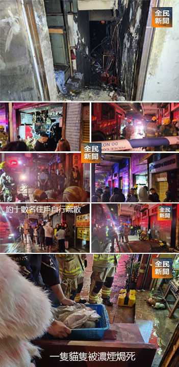 紅磡廟宇凌晨火警 逾十居民疏散 一貓隻焗斃  攝 : 黃芷澄