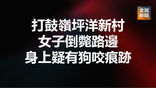 《全民新聞台》［港聞］打鼓嶺女子倒斃路邊 身上疑有動物咬痕 警方調查死因