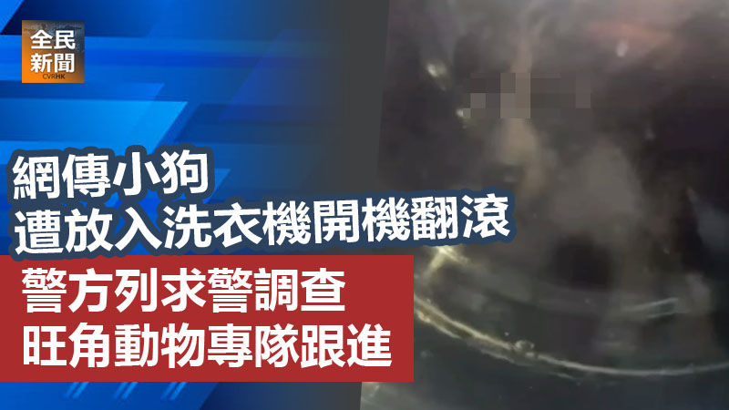 《全民新聞台》［港聞］網傳小狗遭放入洗衣機開機翻滾 警方列求警調查 旺角動物專隊跟進