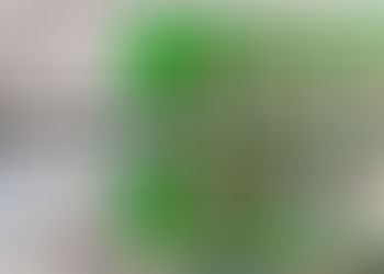 《全民新聞台》［港聞］海關於機場檢獲懷疑大麻花 市值約一百九十萬元