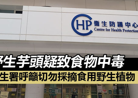 野生芋頭疑致食物中毒 衞生署呼籲切勿採摘食用野生植物