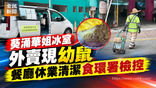 《全民新聞台》［港聞］葵涌華姐冰室外賣現幼鼠　餐廳休業清潔食環署檢控