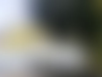 超強颱風韋帕直襲 十號風球懸掛
