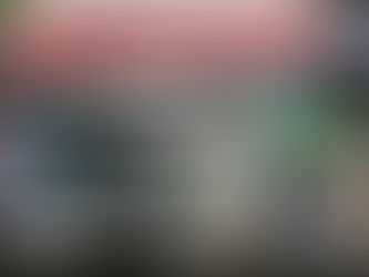 《全民新聞台》［港聞］再有江豚屍體被發現 中環碼頭現海豚浮屍 已嚴重腐爛