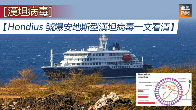 《全民新聞台》［漢坦病毒］【圖文版｜Hondius 號爆安第斯型漢坦病毒｜一文看清】