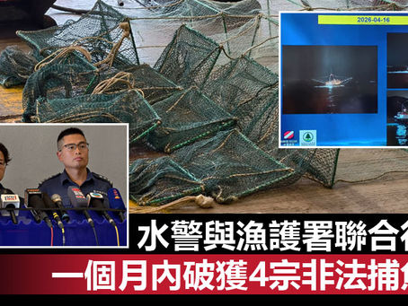 《全民新聞台》［港聞］水警與漁護署聯合行動　一個月內破獲4宗非法捕魚案