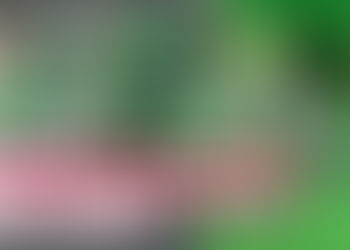 《全民新聞台》［港聞］三名旅客因管有未完稅香煙及另類吸煙產品 判刑及罰款