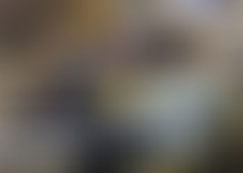 《全民新聞台》［港聞］貓咪遭九巴夾於車底  消防拯救逾兩小時救出