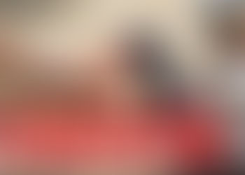 《全民新聞台》［港聞］漁護署今起對非法餵飼野鴿即時執法 不再口頭警告