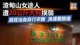 《全民新聞台》［港聞］渣甸山女途人遭20公斤大狗撲襲 肩背浴血自行求醫 漁護署跟進