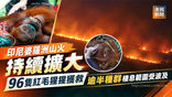 《全民新聞台》［國際］印尼婆羅洲山火持續擴大　96隻紅毛猩猩獲救　逾半種群棲息範圍受波及