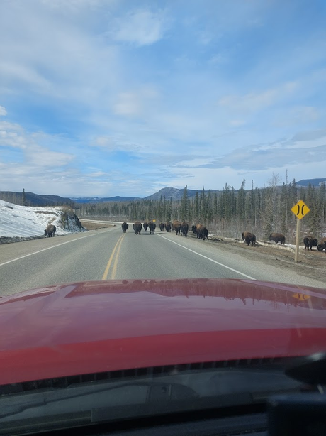 Alaska Part 2 - The Journey
