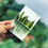 Thumbnail: Painting With Plants - Online workshop with materials kit