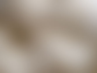 More on the Lion’s Mane Mushroom- the Smart mushroom